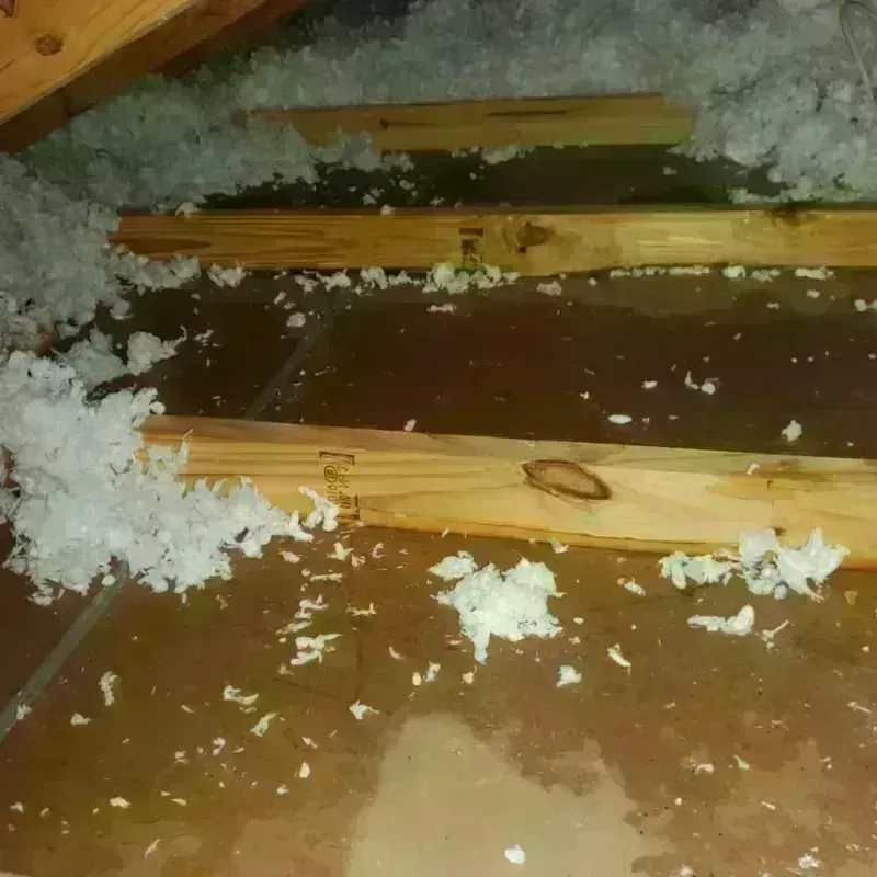 Attic Water Damage in Mount Angel, OR