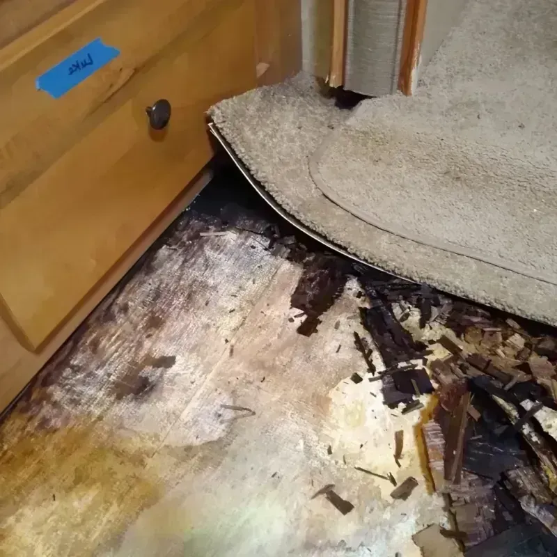 Wood Floor Water Damage in Mount Angel, OR